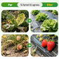 🥳Supertilbud 2026🥳💞Over 50 000 solgte eksemplarer! 🌱🏡 50 % rabatt – førsteklasses vevd ugressduk – svært god luftgjennomtrengelighet, hindrer effektivt ugressvekst og beskytter jorden. 🌿✨