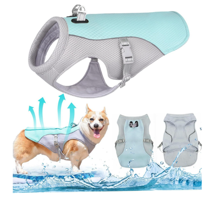 🐶Siste dag-tilbud: 50 % rabatt❄️🐾 Beskyttelsesvest med iskjøling til hunder om sommeren