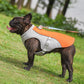 🐶Siste dag-tilbud: 50 % rabatt❄️🐾 Beskyttelsesvest med iskjøling til hunder om sommeren