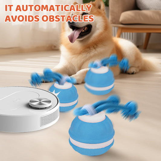 🐾 50% RABATT! 🎾 Interaktiv Elektronisk LekeBolle til Kjæledyr – Automatisk Bevegelse, Tann-Gniskingsbestandig & Beroligende for Katter/Hunder 🐱🐶📦