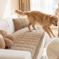 🛋️ 50 % RABATT! ⏰ Vattert sofa-pute i kordfløyel – Sklisikker underside, kordfløyel av høy kvalitet og enkel å rengjøre 🧵
