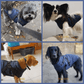 🐶Varm Salg 50% AVSLAG🔥3-i-1 Vinter Vanntett Varm Hundejakke Med Innebygd Sele