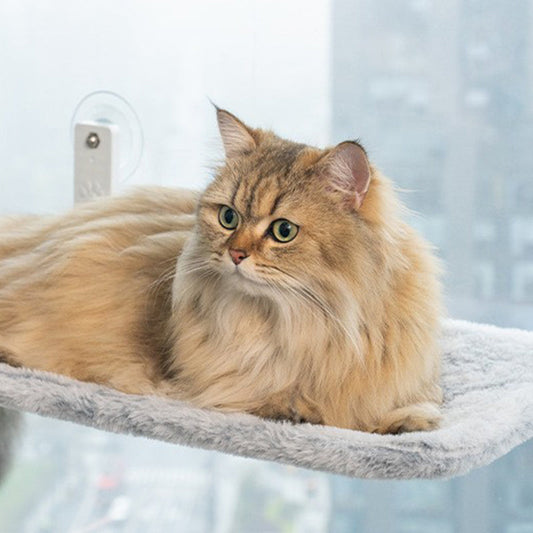 💐50 % rabatt! Hengende katteseng med sugekopper – la katten nyte solen ☀️😺【Spesialpris】