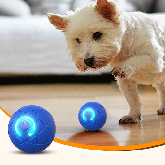 🐾 50 % RABATT NÅ! 🎾 Interaktiv hoppeball for hunder – Slitesterk, ruller av seg selv og engasjerende – Holder valpen din aktiv og underholdt 🐶