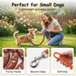 Lekende pølsehund-bånd