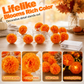 👻Halloween-spesialtilbud🎃🧡LED-lyskjede med kunstige ringblomster