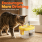 Stille drikkedispenser for kjæledyr med PET-skål i næringsmiddelkvalitet 🐾 Frisk, rennende og perfekt for kresne drikkere ✨