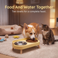⏳🔥50 % RABATT I BEGRENSET TID! Elevated Double Pet Feeder