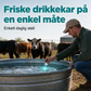 Hurtigoppløselige rengjøringstabletter for vanntanker til husdyr