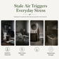 Duftspray med langvarig duft: hvit te, appelsinblomst og bergamott