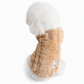 🔥 50 % RABATT 🐕 Myk fleece- og bomullsjakke til kjæledyr med D-ring for bånd – varm høst- og vinterjakke for små hunder og katter ❄️✨